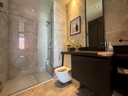 OUE Twin Peaks (D9), Condominium #457168081
